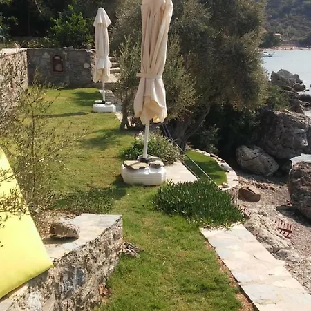 Can Naz Muğla